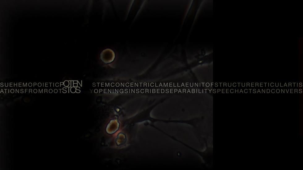 Intra-actions and Reconfigurations Screen 5 - Primordial