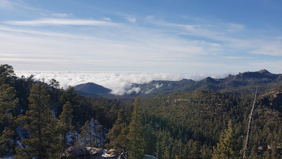 Slideshow image