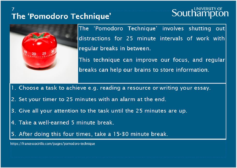 Slide 7