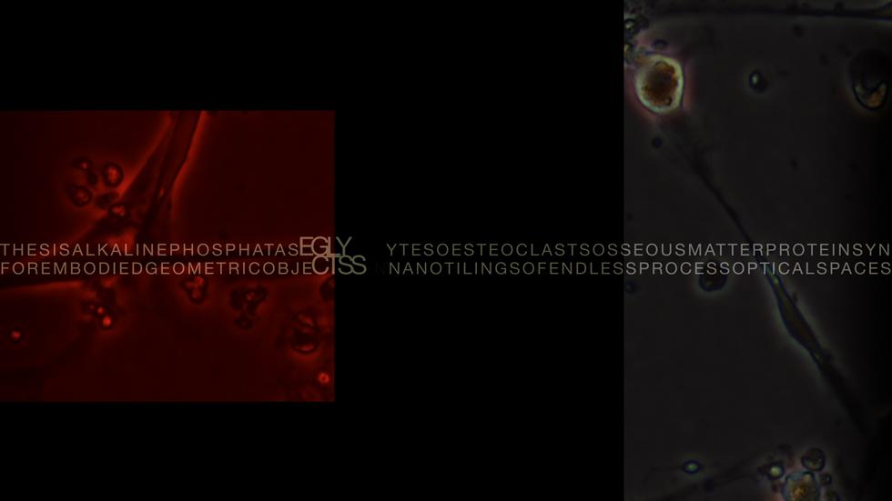 Intra-actions and Reconfigurations Screen 5 - Primordial