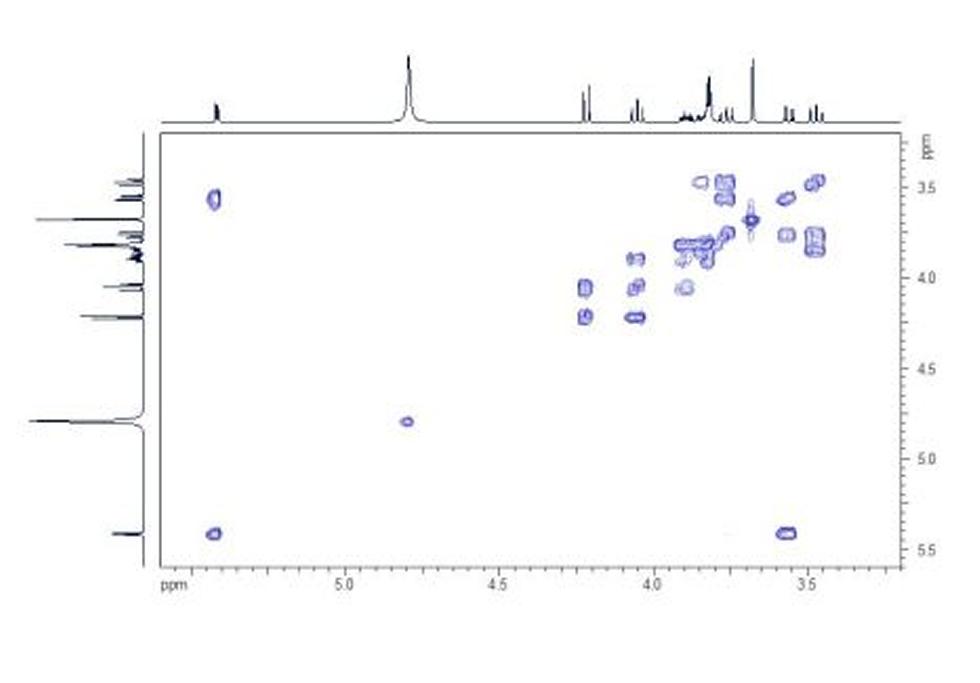 HH COSY. The HH COSY shows the coupling network within the molecule.
