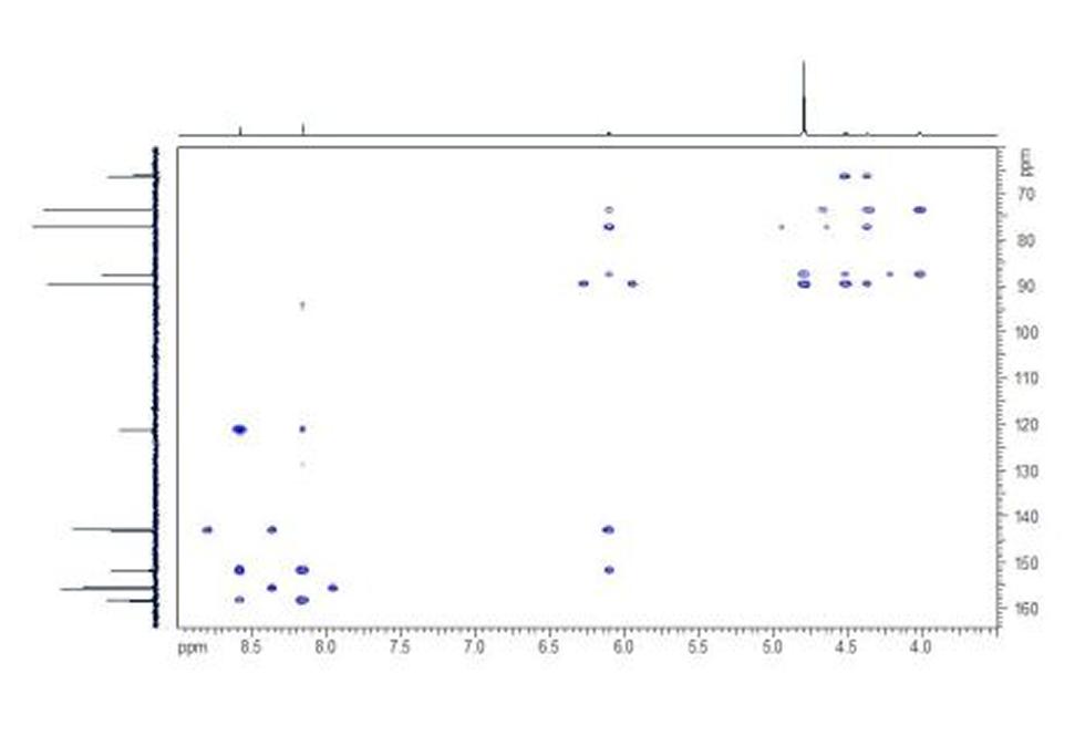 In the HMBC spectrum the two- and three- bond couplings between protons and carbons can be seen as cross-peaks that correctly align with both projections; the cross-peaks that align correctly only with the carbon projection and are split around the proton signal are one-bond direct HC couplings.