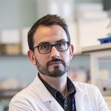 Thumbnail photo of Dr Diego Gomez-Nicola