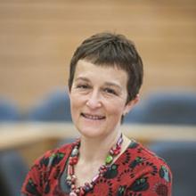 Thumbnail photo of Professor Catherine Pope