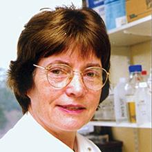 Thumbnail photo of Professor Freda Stevenson