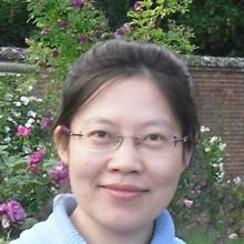 Thumbnail photo of Dr Yue Zhang