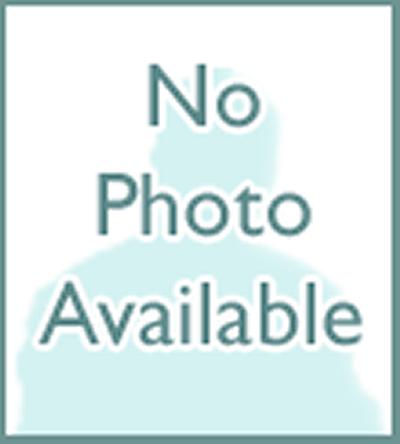 Mr Paul Reynolds's photo