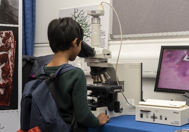 Child looking down a microscope
