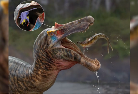 Artist's impression Ceratosuchops 