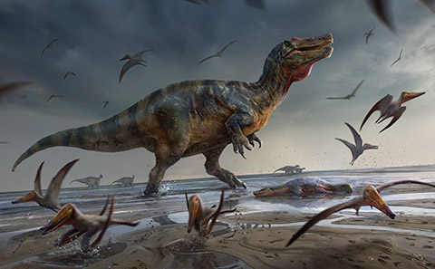 Image credit: Anthony Hutchings