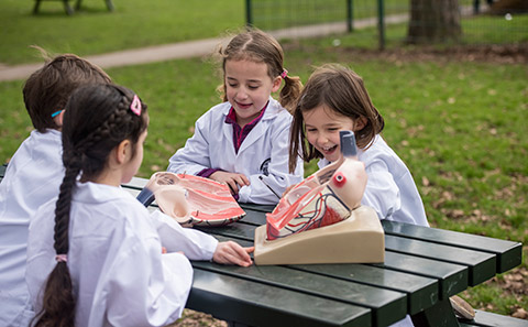 Children taking part in LifeLab