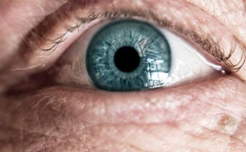 Retina Eye
