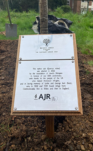 Plaque