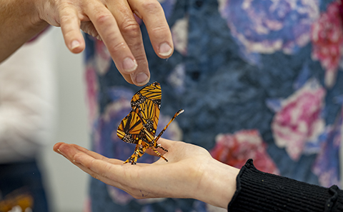 Hand holding paper butterfly