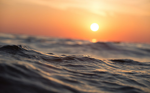 Oceans