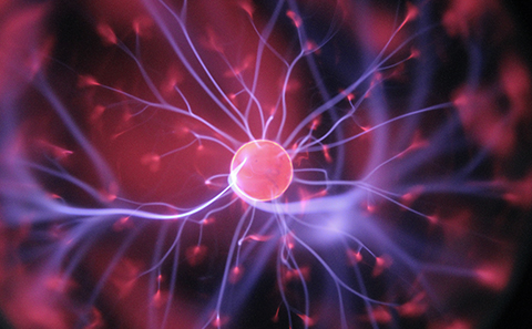 Online cognitive training