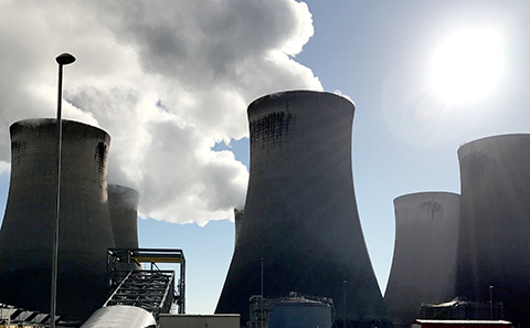 Power station using biomass