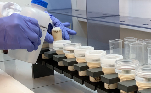 Scientist putting chemicals in sample pots