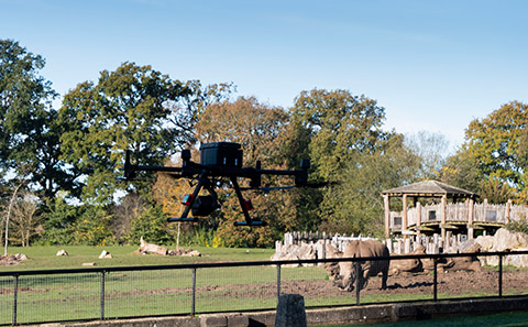 Rhino Drone
