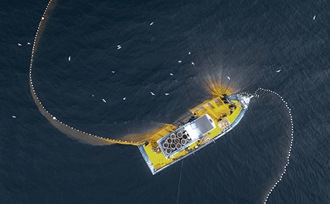 AI bot to tackle illegal fishing