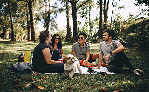 Students socialising in park