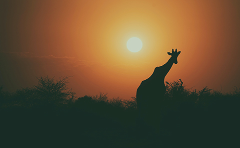 African sunset