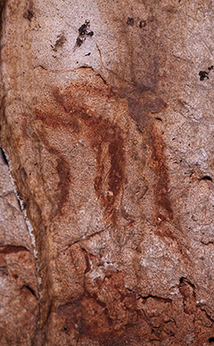 Cave painting of two painted hinds heads.