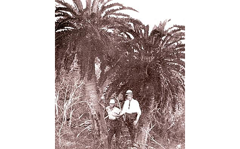 Black and white image of two men with trees