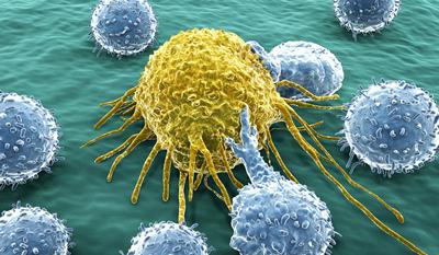 Cancer cell