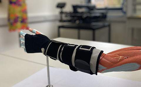 Model arm wearing longsleeved glove