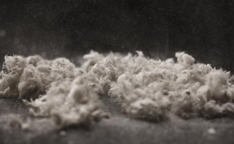 Asbestos