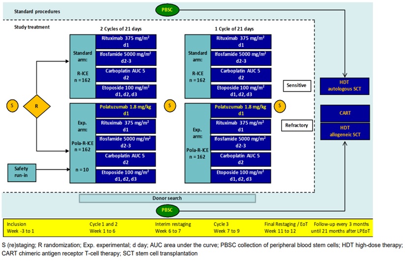 Trial schema flow chart for Pola-R-ICE