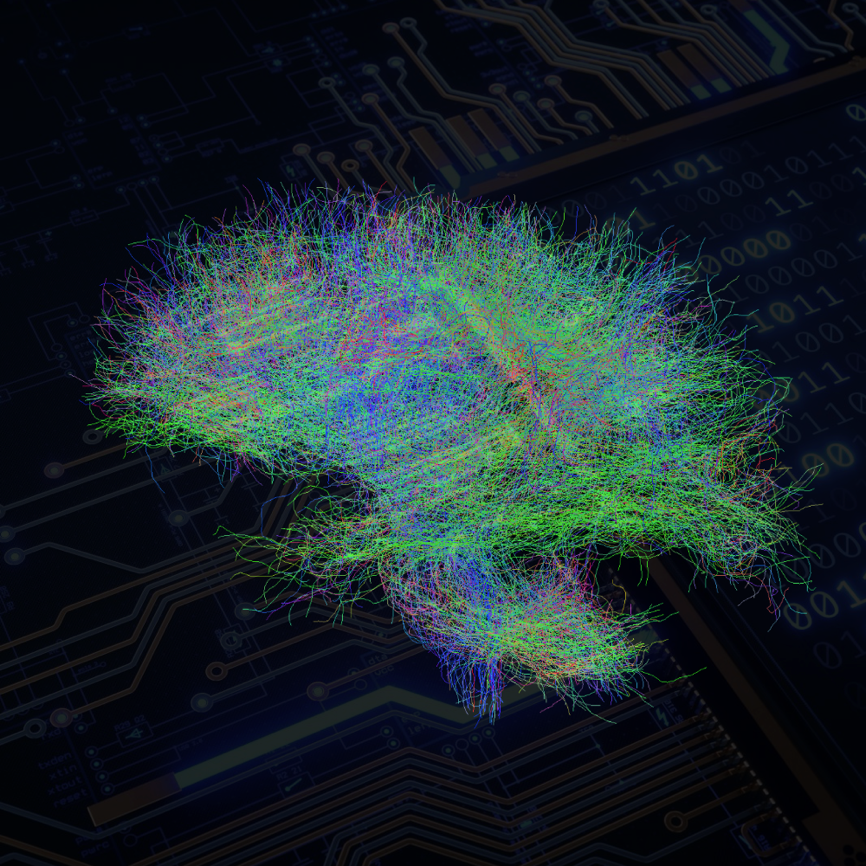 Translational neuroimaging