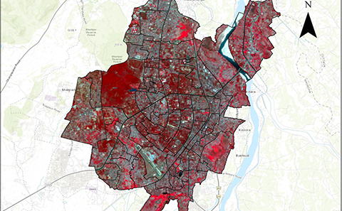 Satellite image of Bhubaneswar, 2024.