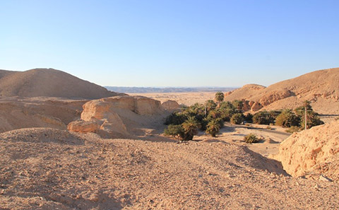 Wadi Gharandal riverine wetland