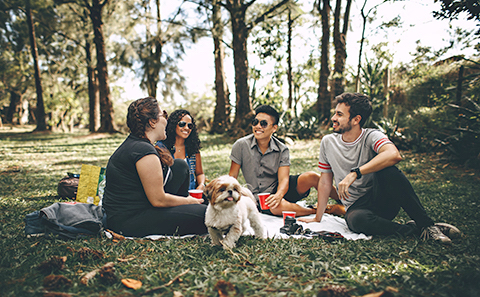 Green space for students