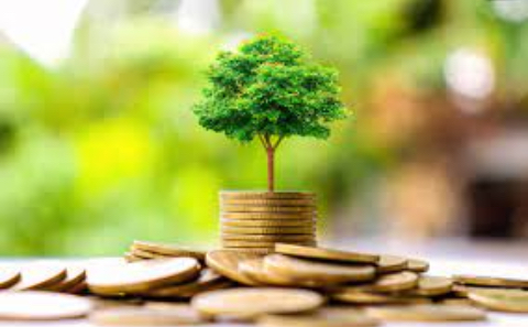 Green finance strategy update