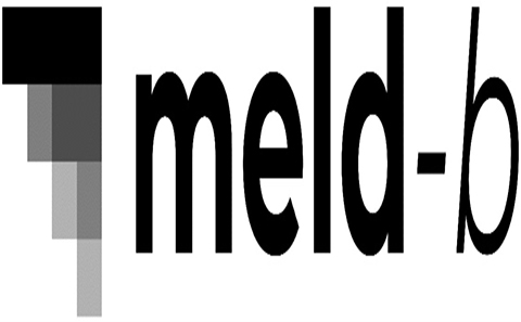 MELD-B Picture