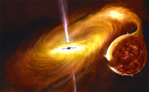 Black hole with warped disc