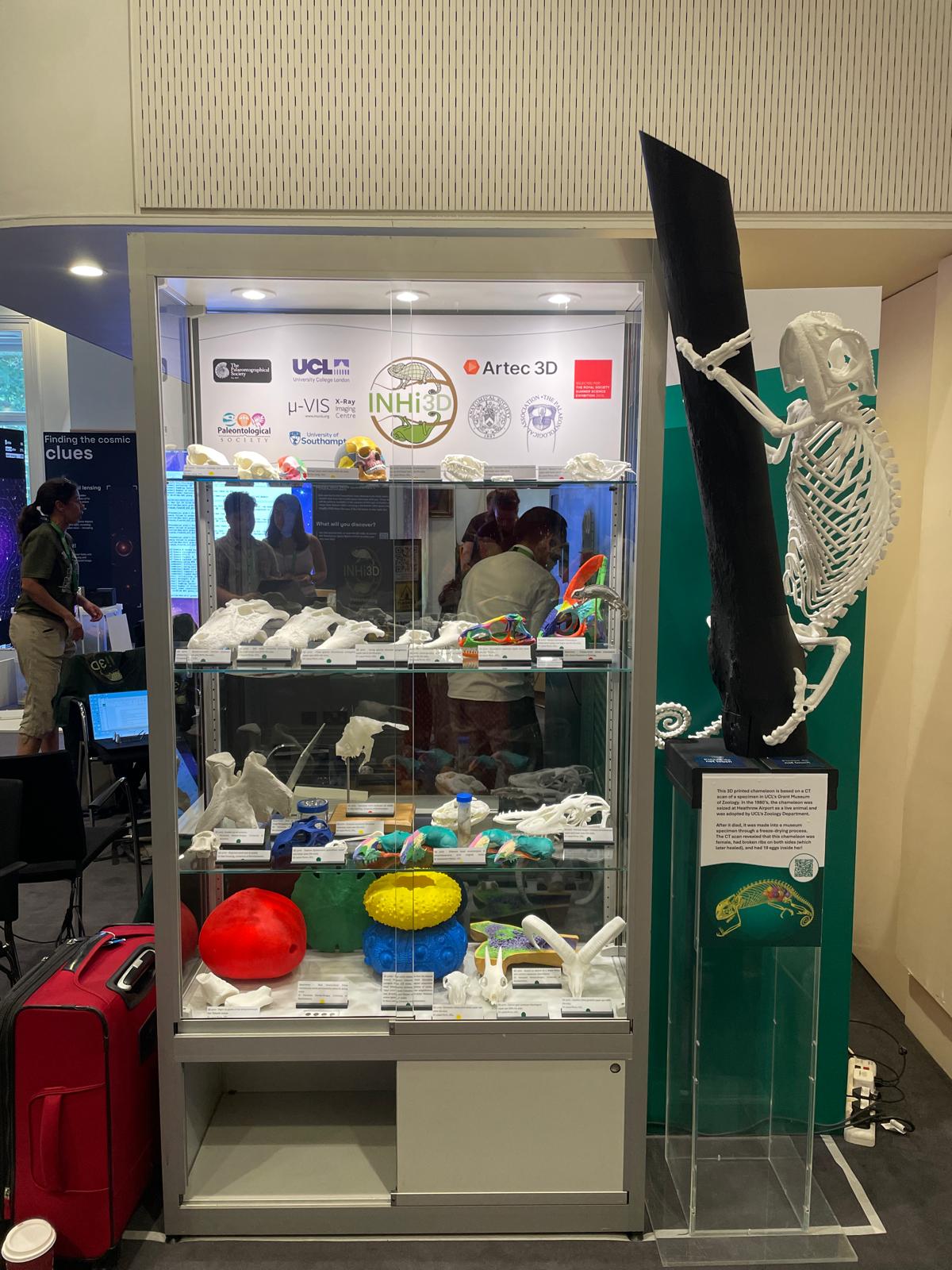 3D printed specimens on display at the Summer Science Exhibition 