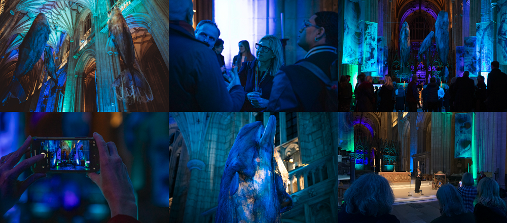 A memorable evening at Winchester Cathedral, where guests enjoyed an exclusive first look at Whales