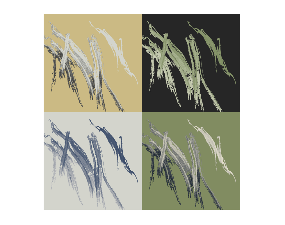 Cilia Mount Tai - Yuton Zhang
