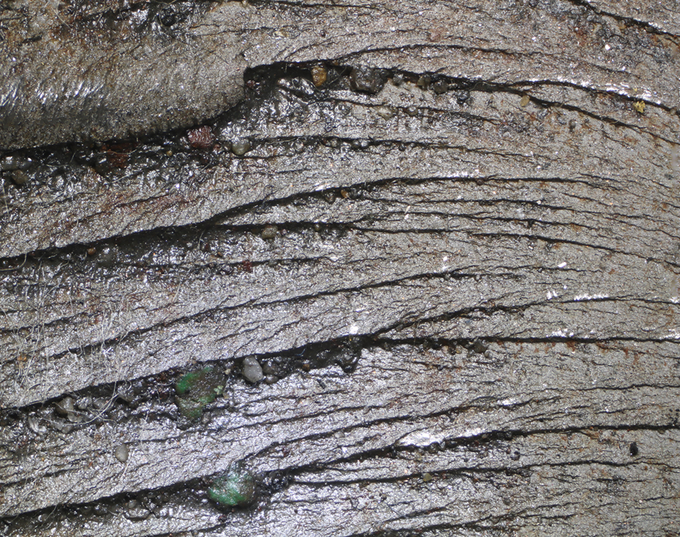 Elephant Tears - Nicola Symonds