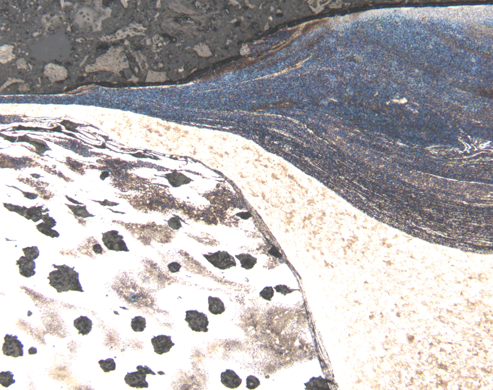 Life's a beach - Nicola Symonds