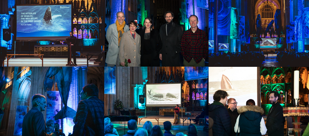 Nearly 500 attendees were captivated by expert talks on whale falls, global migrations, and the legal landscapes that have shaped our relationship with these remarkable creatures