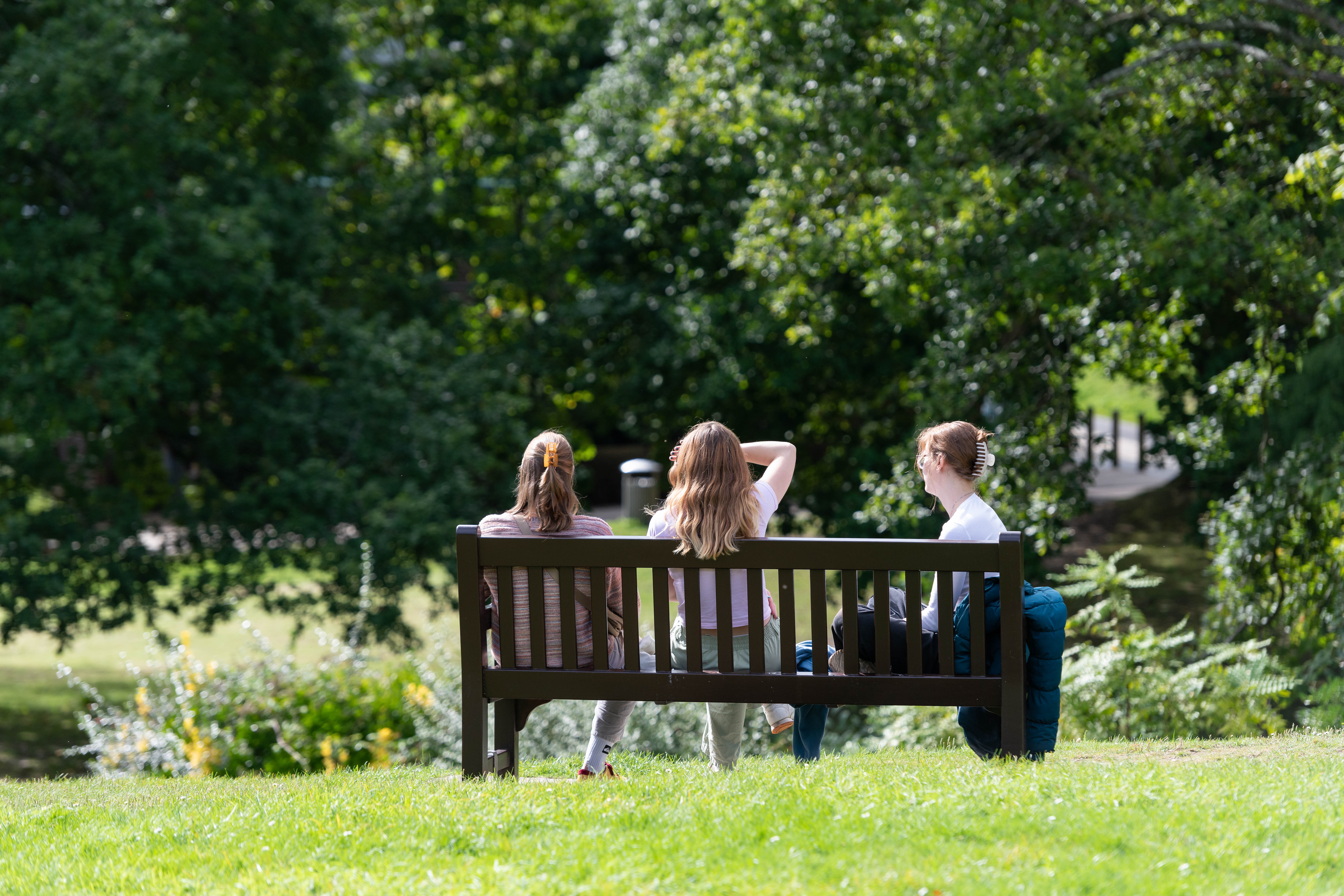 Three people sit on a wooden bench in a grassy park, facing away from the camera. They are surrounded by lush green trees, and sunlight filters through the foliage. The atmosphere appears relaxed and peaceful.