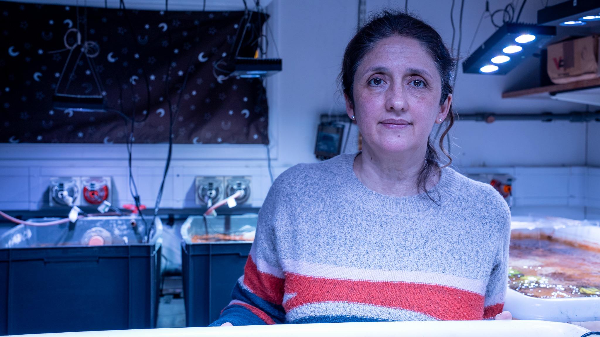 A woman wearing a grey, red and blue striped jumper in a laboratory aquarium.