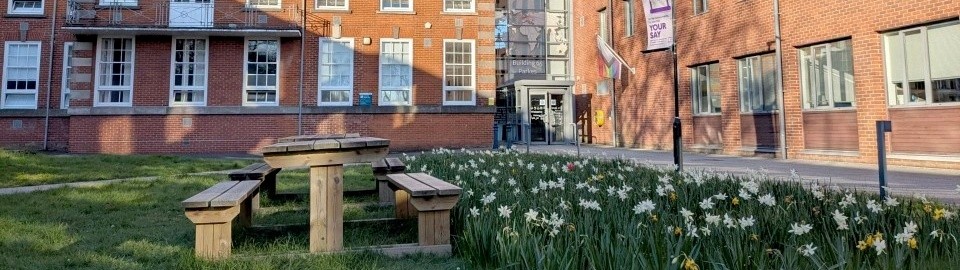 A wooden benchand table at Avenue Campus. It is a sunny day with lots of flowering daffodils.