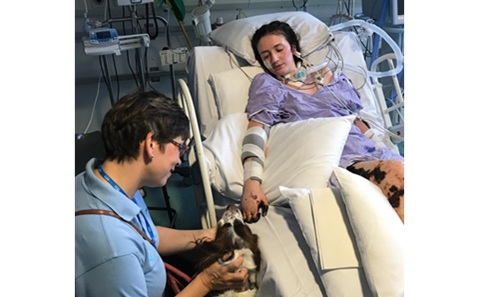 Young woman lying in a hospital bed, with a nurse and a therapy dog at the bedside