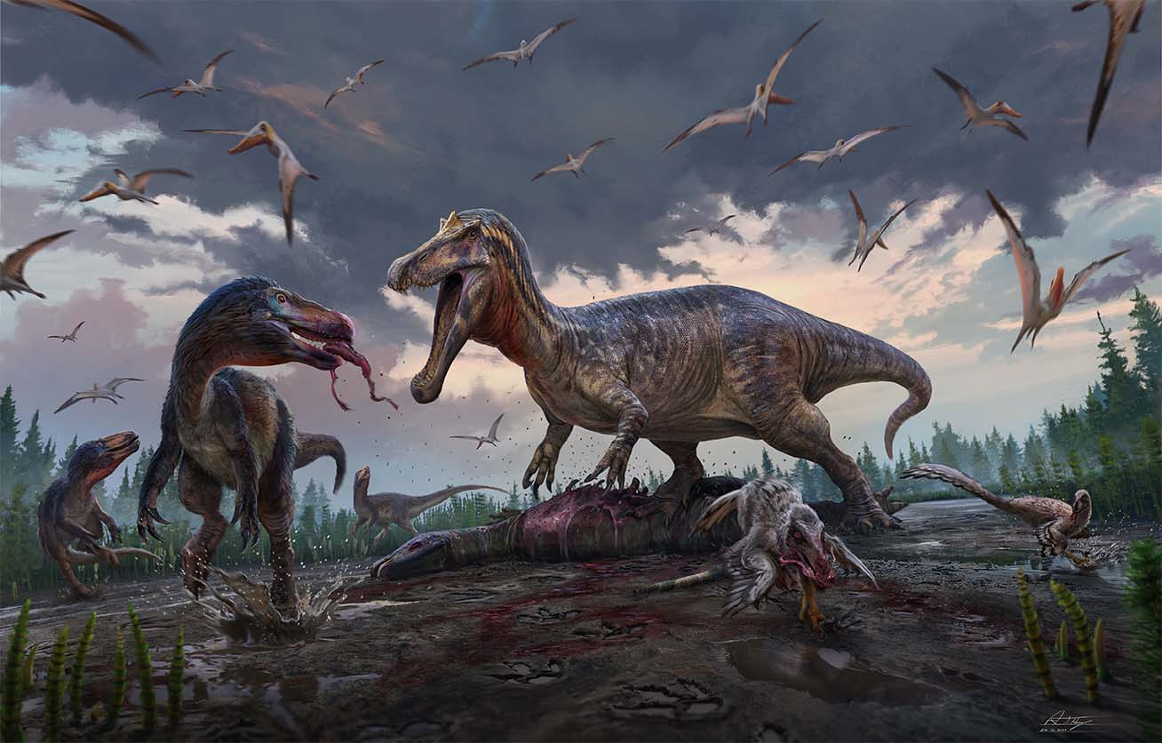 An Early Cretaceous floodplain in southeastern England, 135 million years ago: a spinosaur (centre) takes over the carcass of an ornithopod, much to the annoyance of the smaller tyrannosaurs (left) and dromaeosaurids (bottom right). UK. Credit: Anthony Hutchings. 